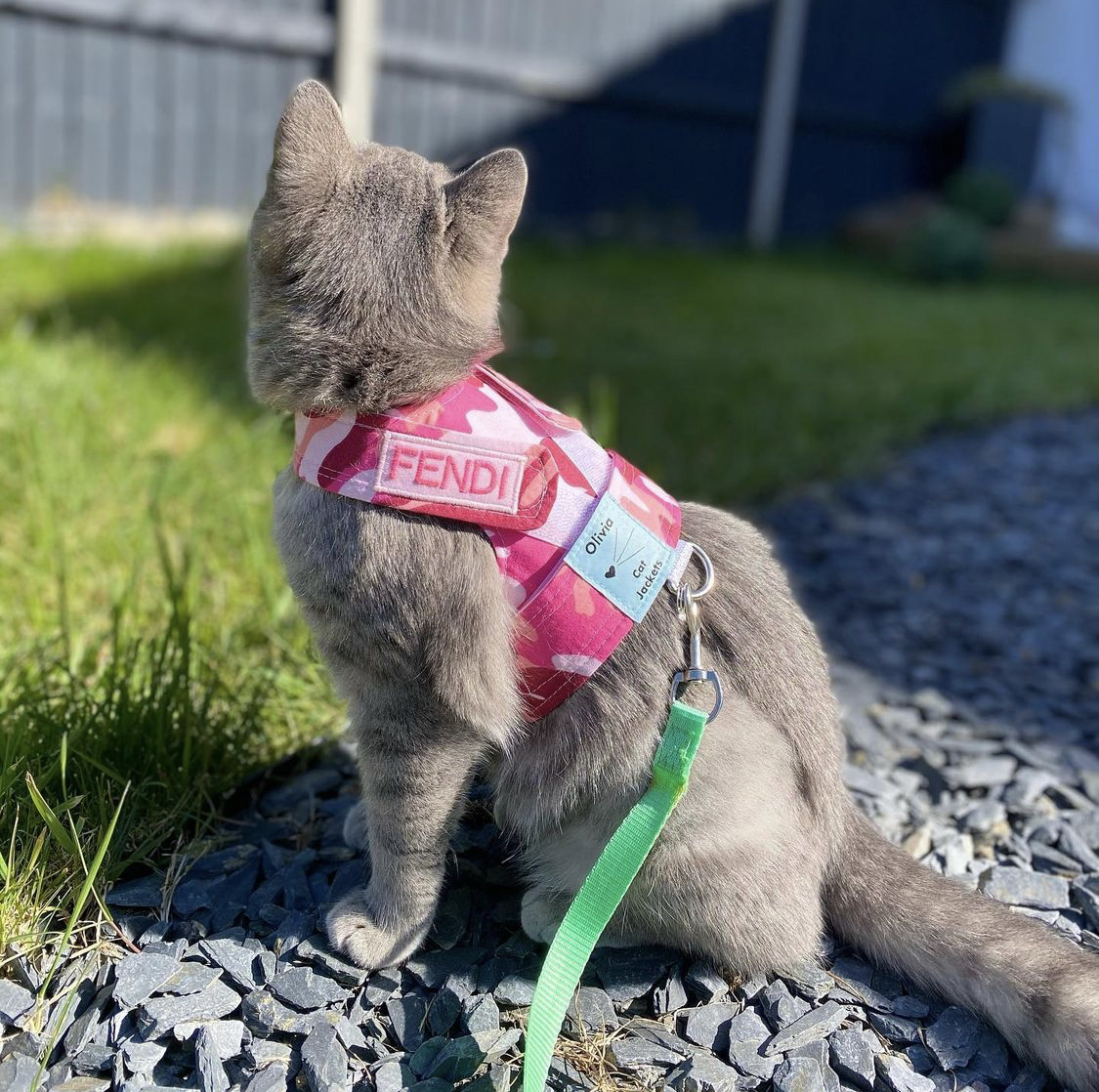 Olivia Cat Jackets Shop Now