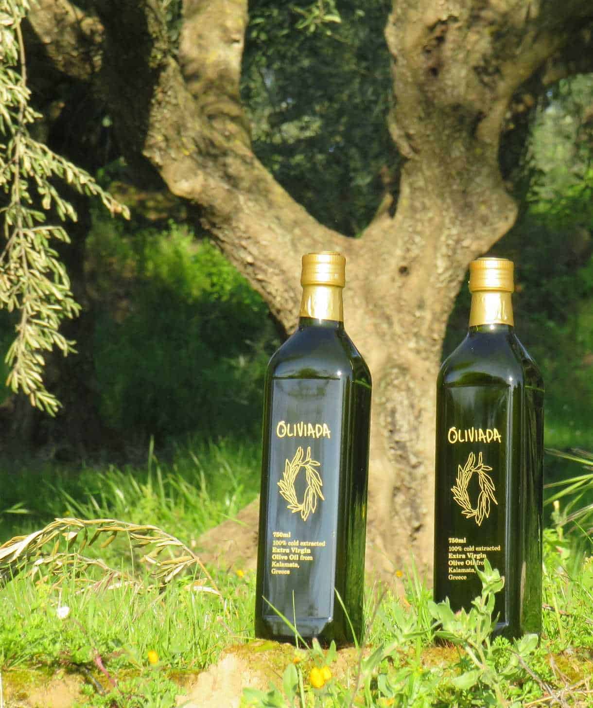 Adopt an Olive Tree in Greece Receive Kalamata Extra Virgin Olive Oil