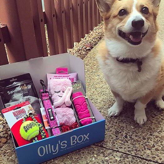 Olly's Box Australia Dog Toys, Treats & Accessories Every Month
