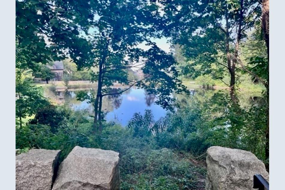 6 Holbrook Court Olson Real Estate