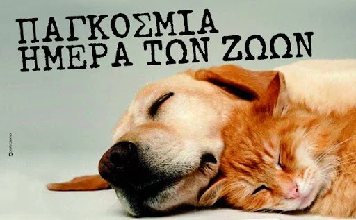 Παγκόσμια Ημέρα των Ζώων