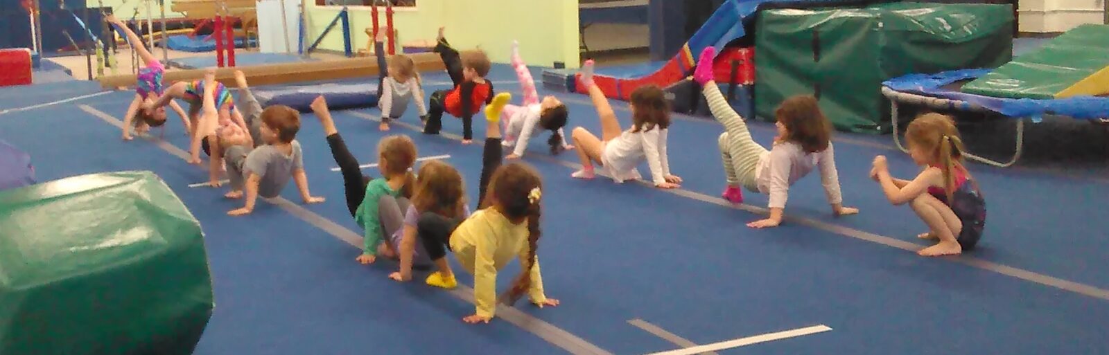 gymnastics summer camps 2023 Summer Camp Olympika Gymnastics & Tumbling