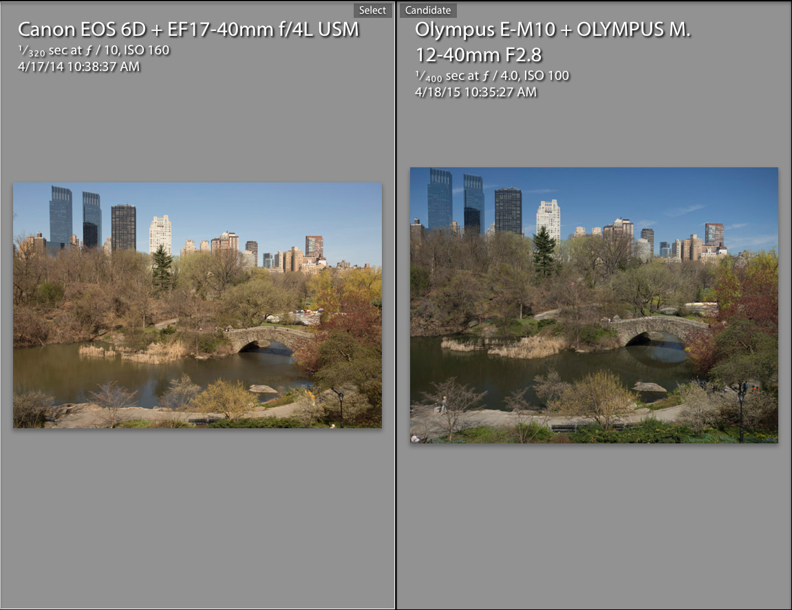 Full Frame vs Micro 43 Revisited with Pro Olympus Lens Olympus Passion