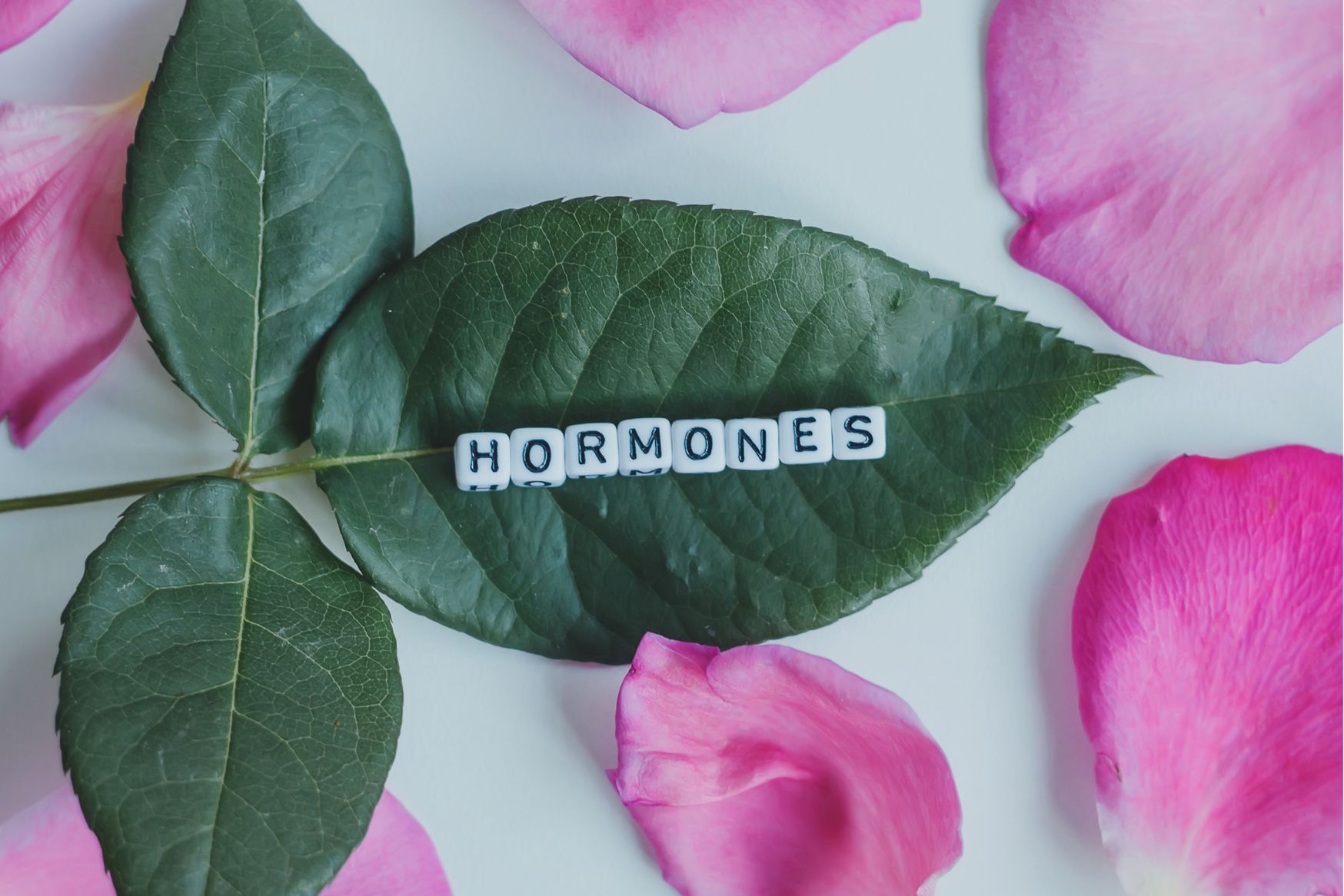 Best Supplements for Hormone Balance 2.0 Omega3Source