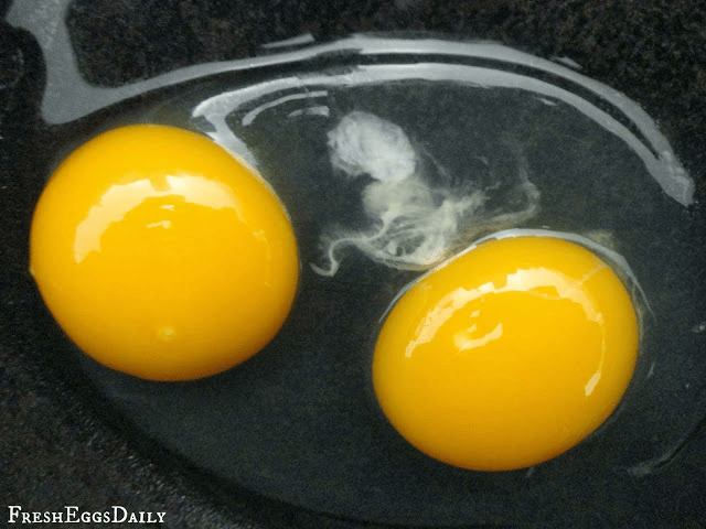DoubleYolked Eggs Omega Fields