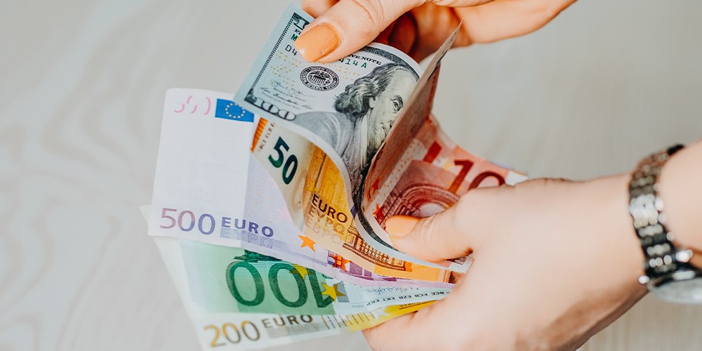 Outlook 2021 Sovereign debt can boost euro’s reserve