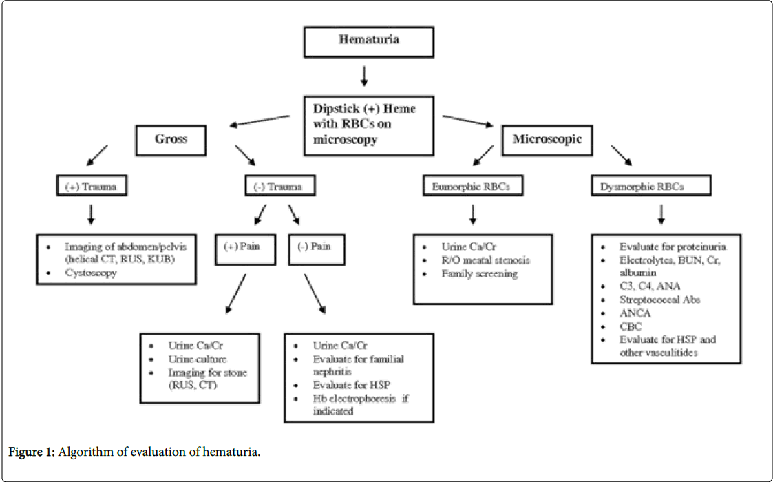 generalpracticeAlgorithmevaluation