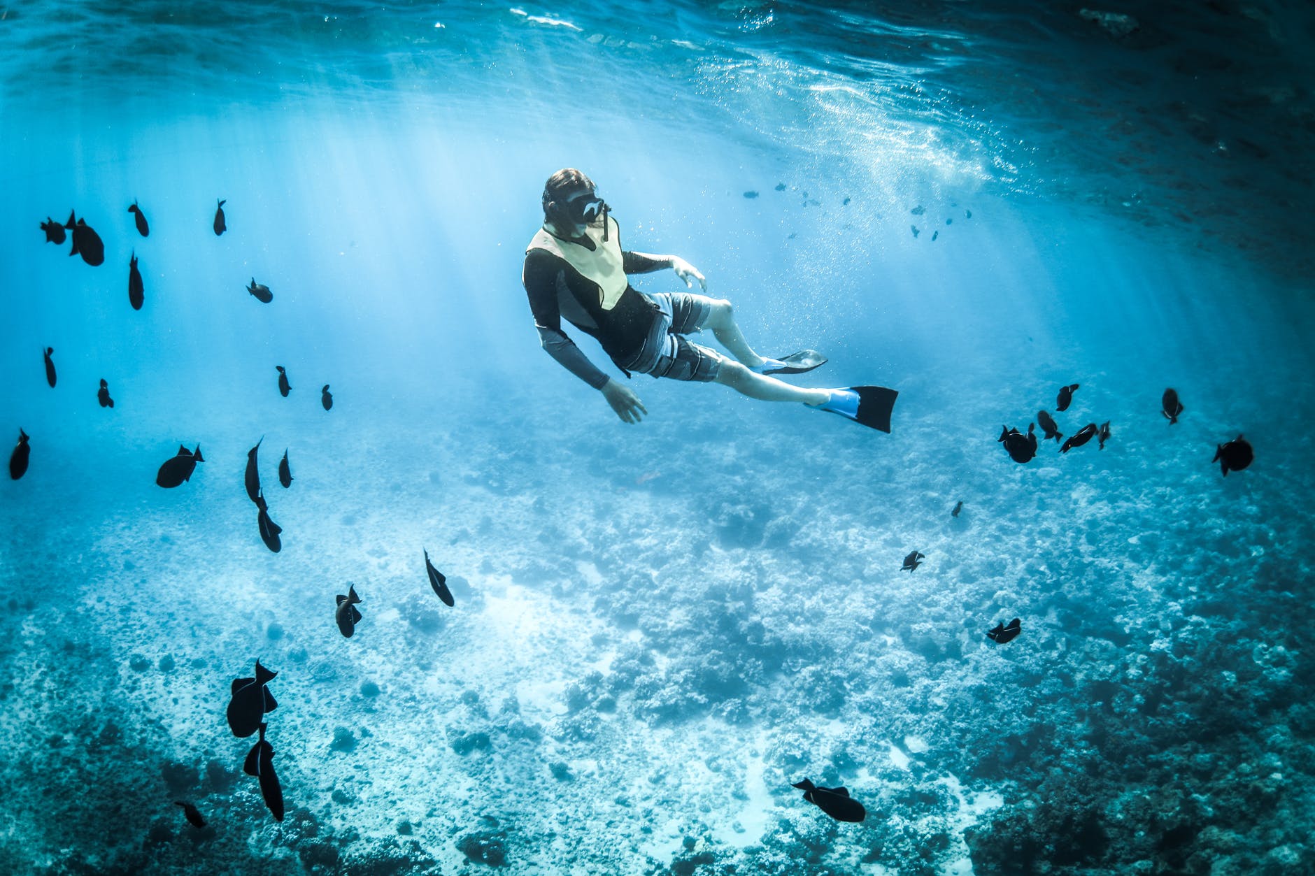 What are the different Ecotourism activities? Omilights