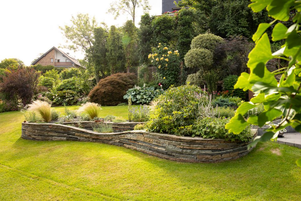 Bohl Inselbeet Gingko Ommertalhof Gartenmanufaktur und Landschaftsbau