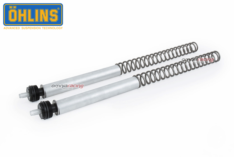 Ohlins Fsk100 Front Fork Springs Kit and Fork Caps for Honda Forza
