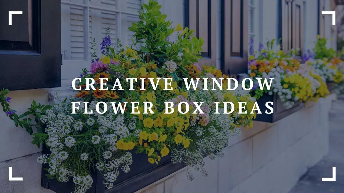 16 Creative Window Flower Box Ideas For Enhancing Your Home's Exterior