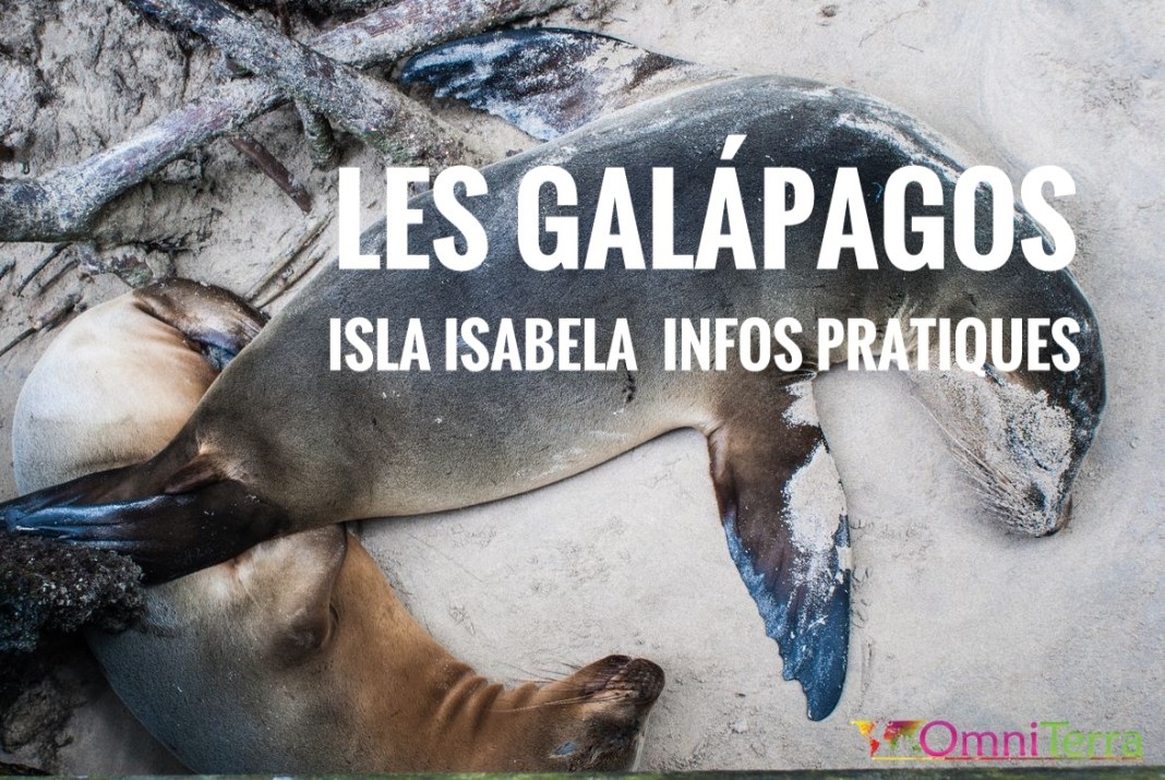 galapagos-isabela-otarie-cover