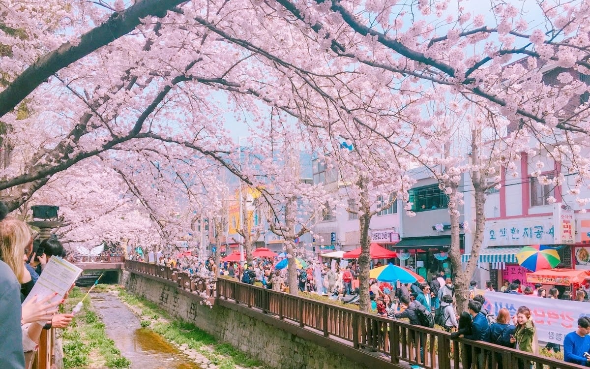 Amazing South Korean festivals you cannot miss