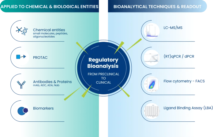 Bioanalytical Services Drug Development CRO Partner
