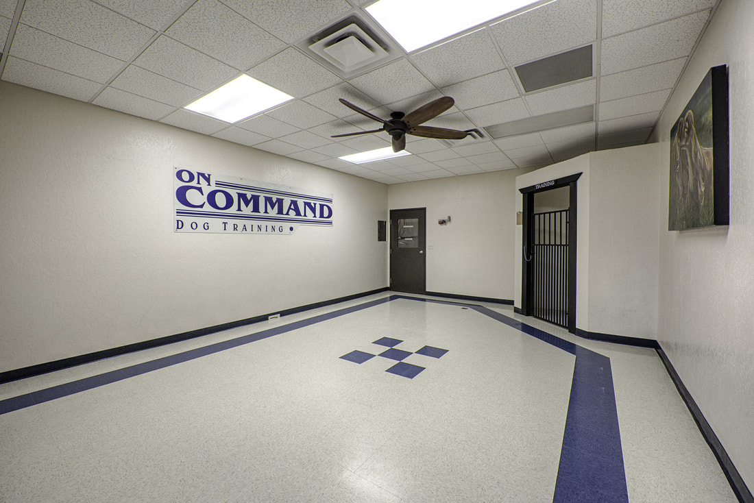 Dog Boarding Reno Pet Boarding Reno, Pet Grooming Reno, NV. Pet