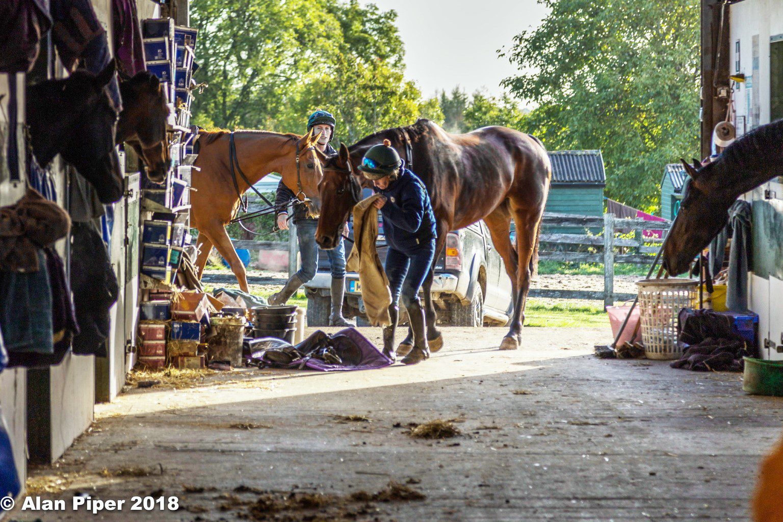 Longest Travellers Horse Racing System Trainers Who Send Their