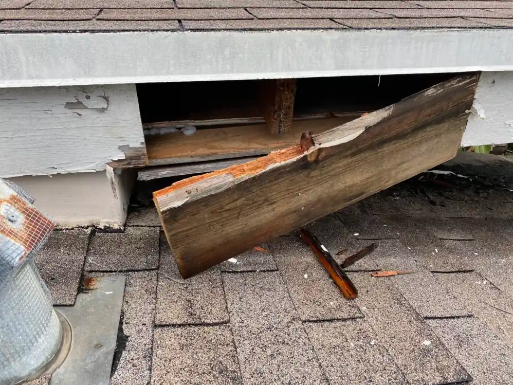 Why Do I Hear Scratching Noises In My Ceiling At Night?