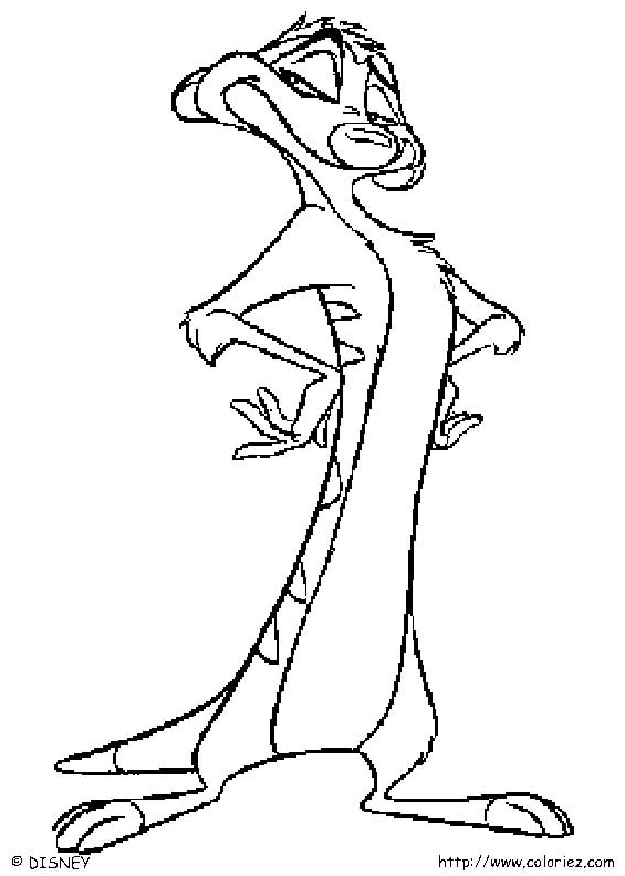 Timon Coloring Page (Lion King)