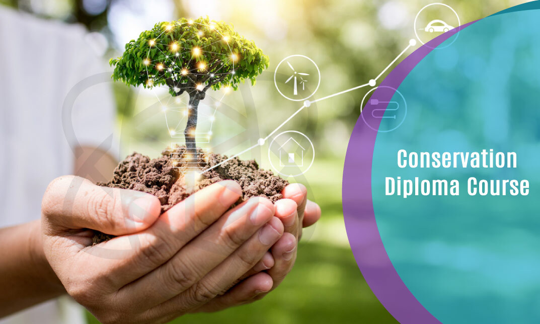 Conservation Diploma Course One Education