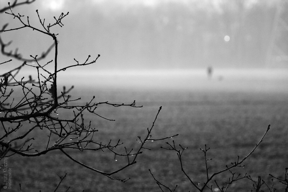 One Glimpse » Schwarzweiß oder Monochrom? Neujahr neu fotografiert