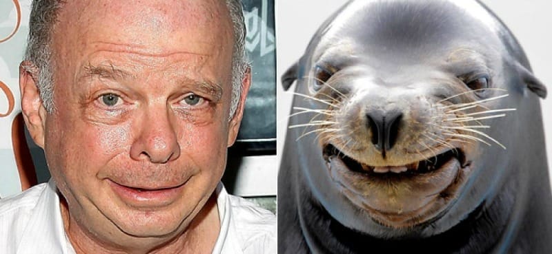 Animals With Human Doppelgangers That Will Make You Believe In