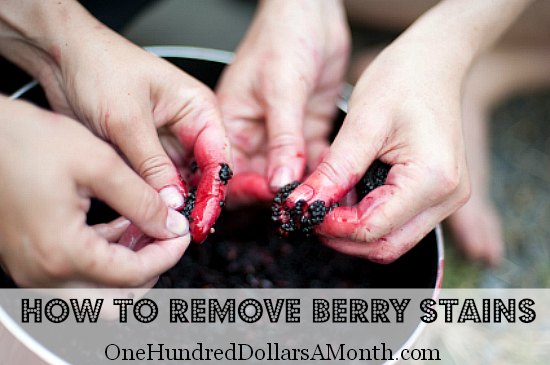 How to Remove Berry Stains from Your Hands One Hundred Dollars a Month