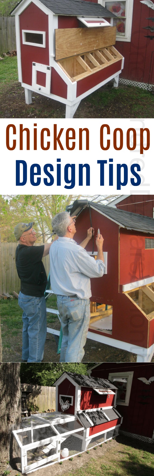 Mavis Mail Bruce From Norfolk, VA Sends in His Chicken Coop Photos