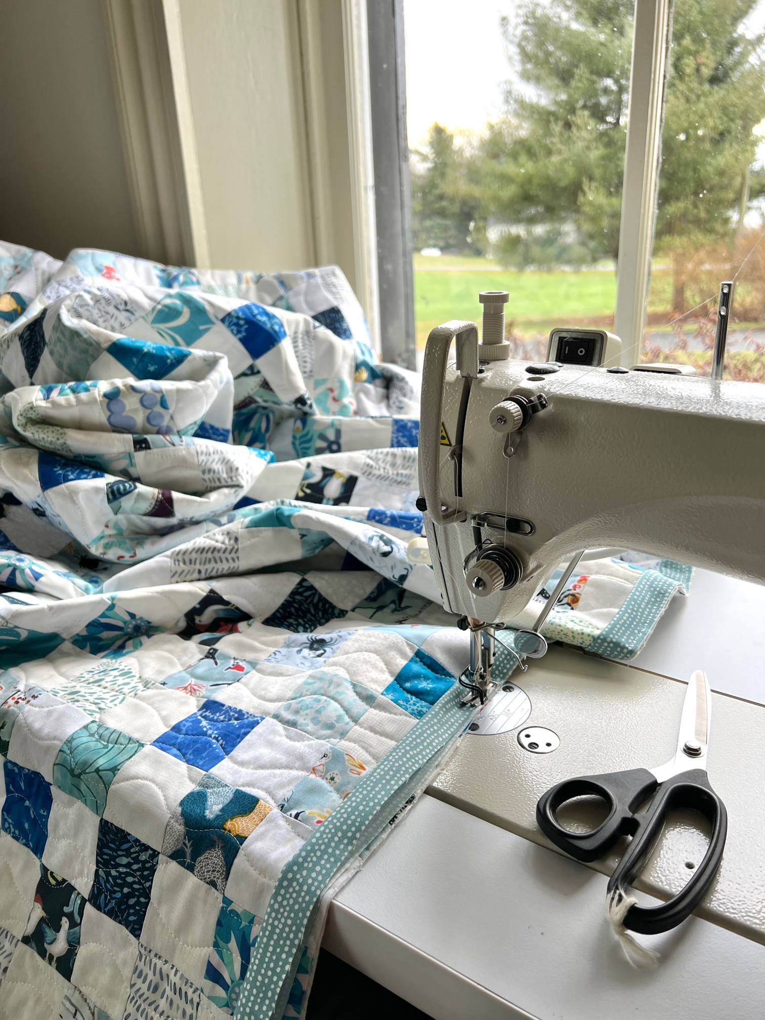 adding binding to a quilt One Hundred Dollars a Month