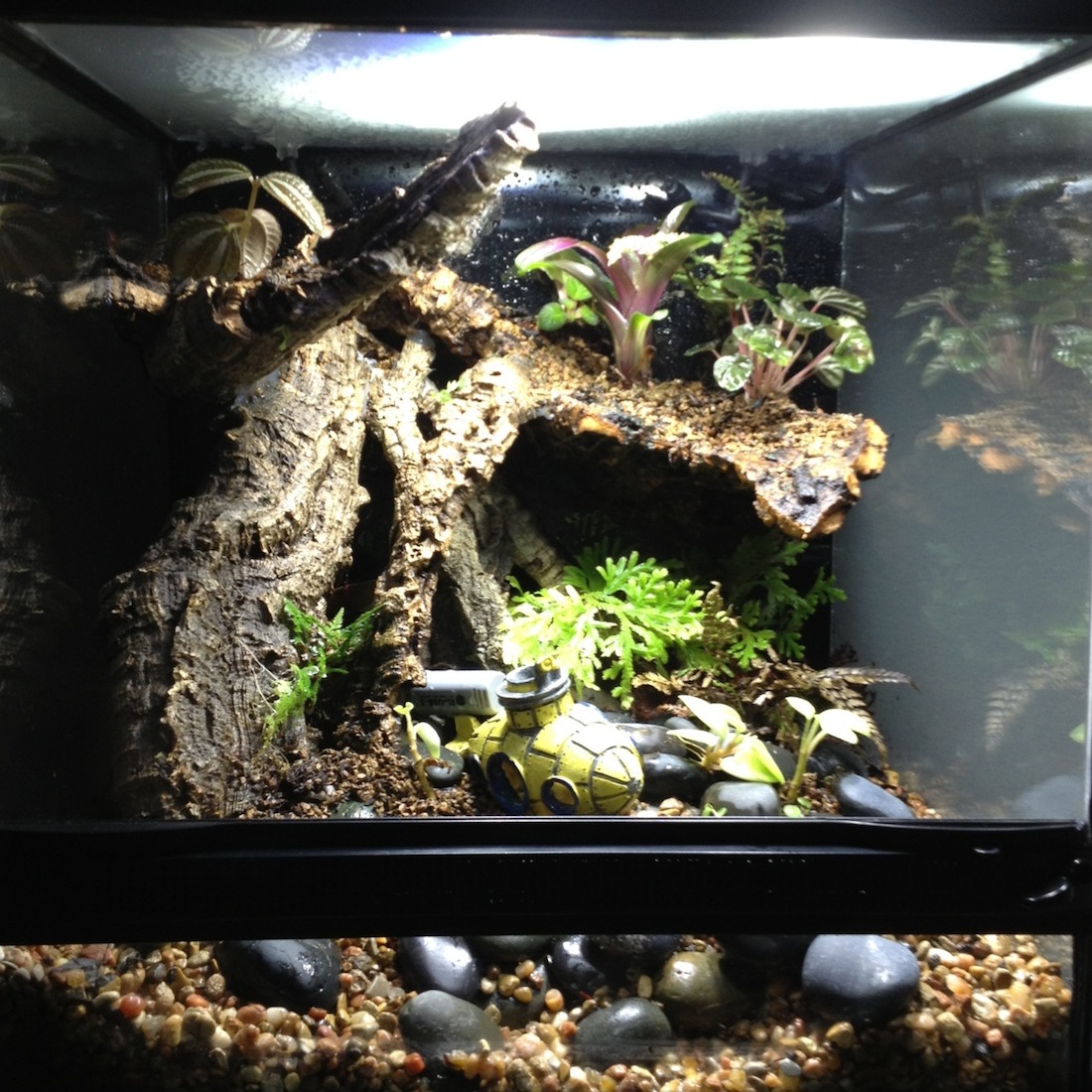 Vivarium lighting project