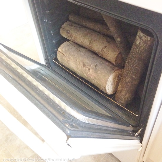 How to Kill Bugs in Wood My FREE Decorative Logs One Project Closer