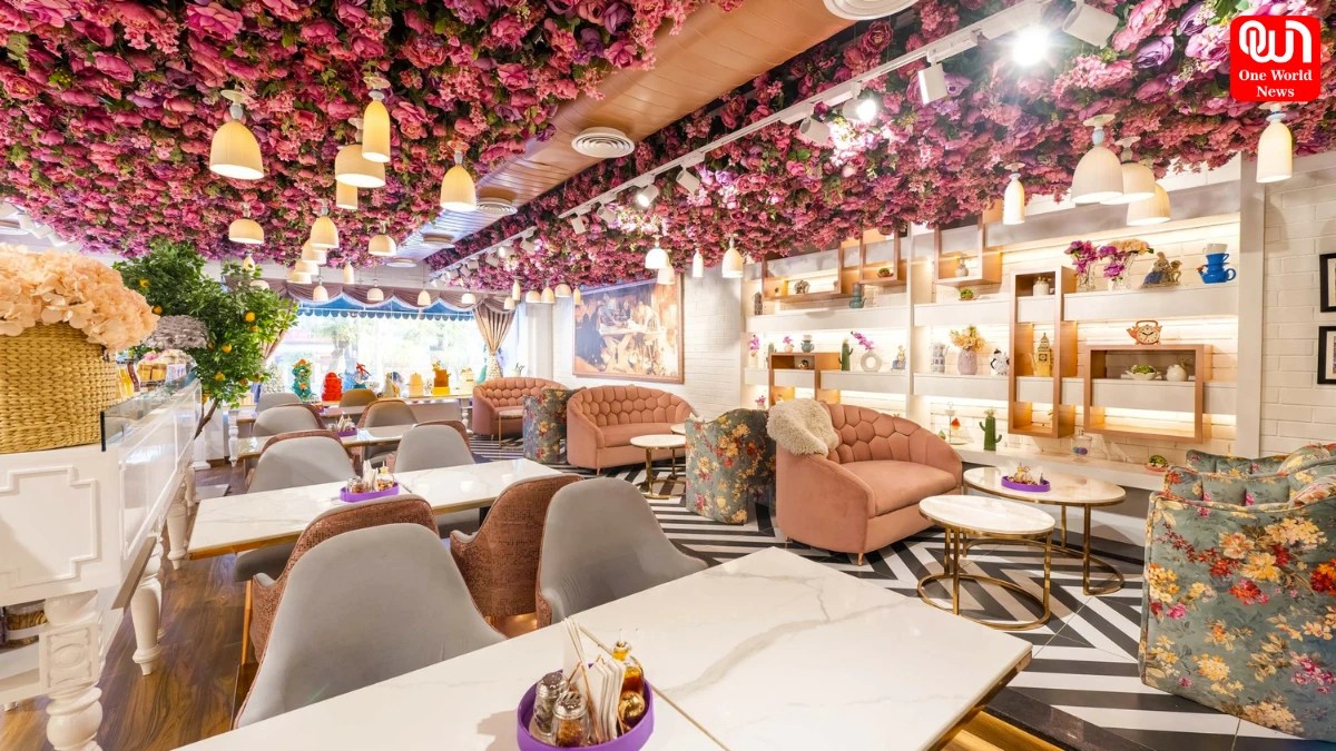 Why Is Everyone Obsessed With Aesthetic Cafes Right Now