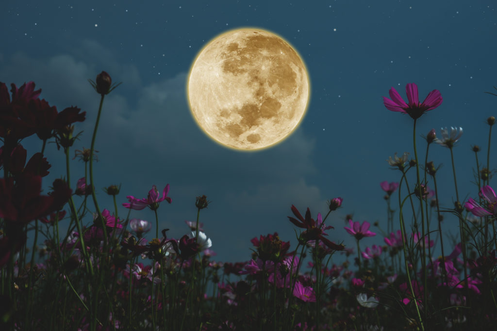 Yoga for the Capricorn Full Moon June 24, 2021 One Yoga