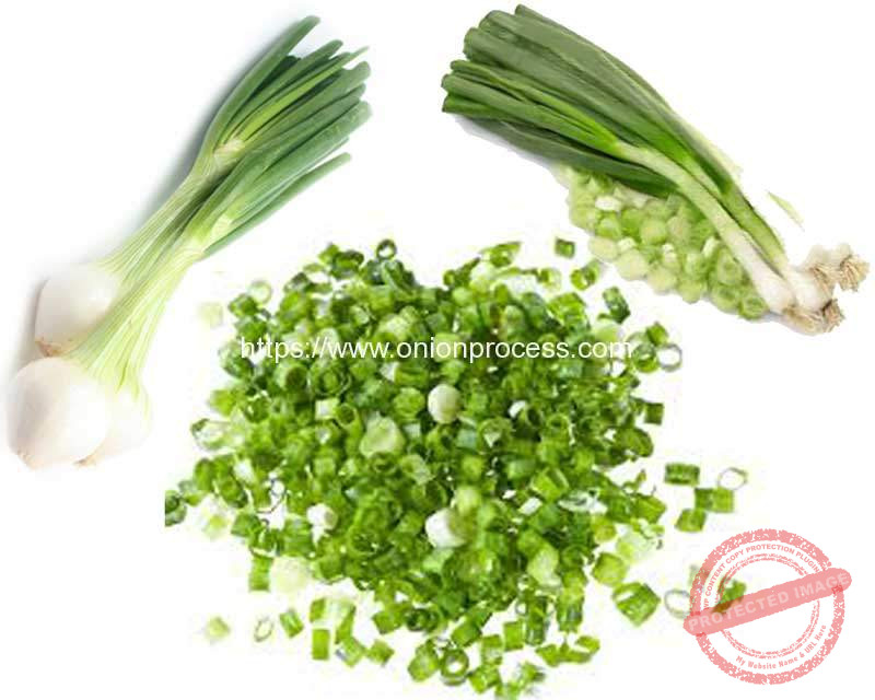 What are Difference of Green Onions and Shallots Onion Peeling