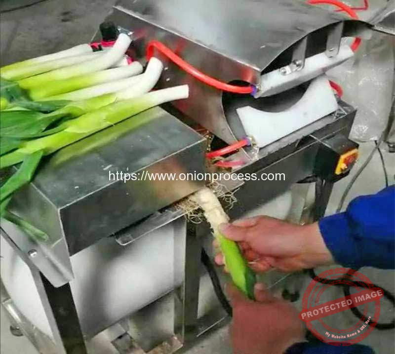 Automatic Spring Onion Peeling Machine with Root Cutting Onion