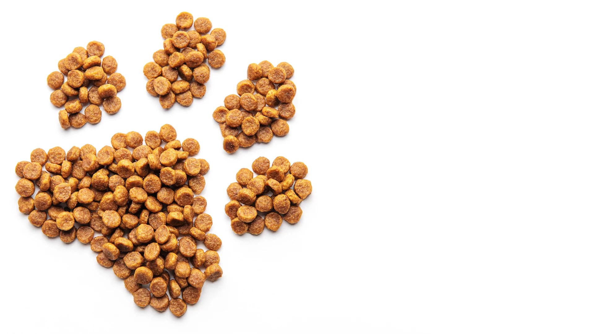 On Key’s multilingual triumph in standardising operations for Europe’s largest pet food