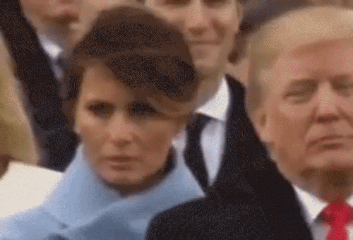 melania01.gif?fit=500%2C340