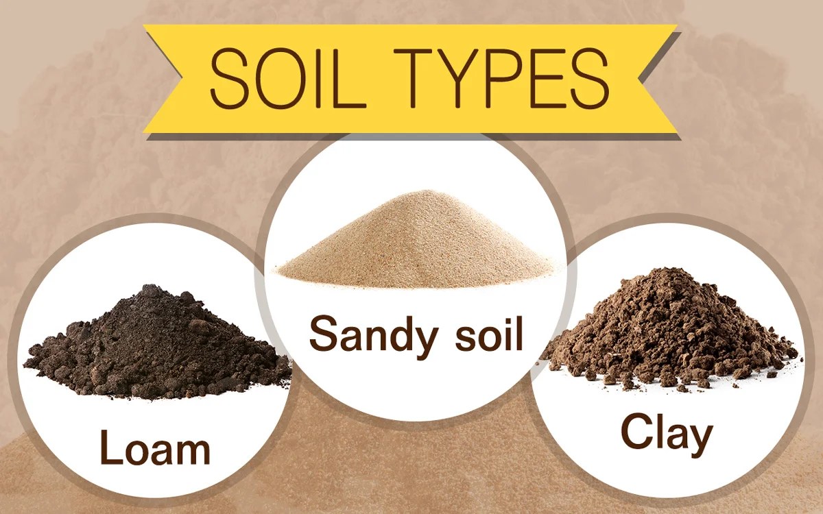 What are properties and types of soils? Science online
