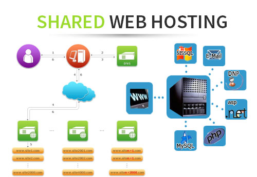 Shared web Hosting advantages and disadvantages Science online