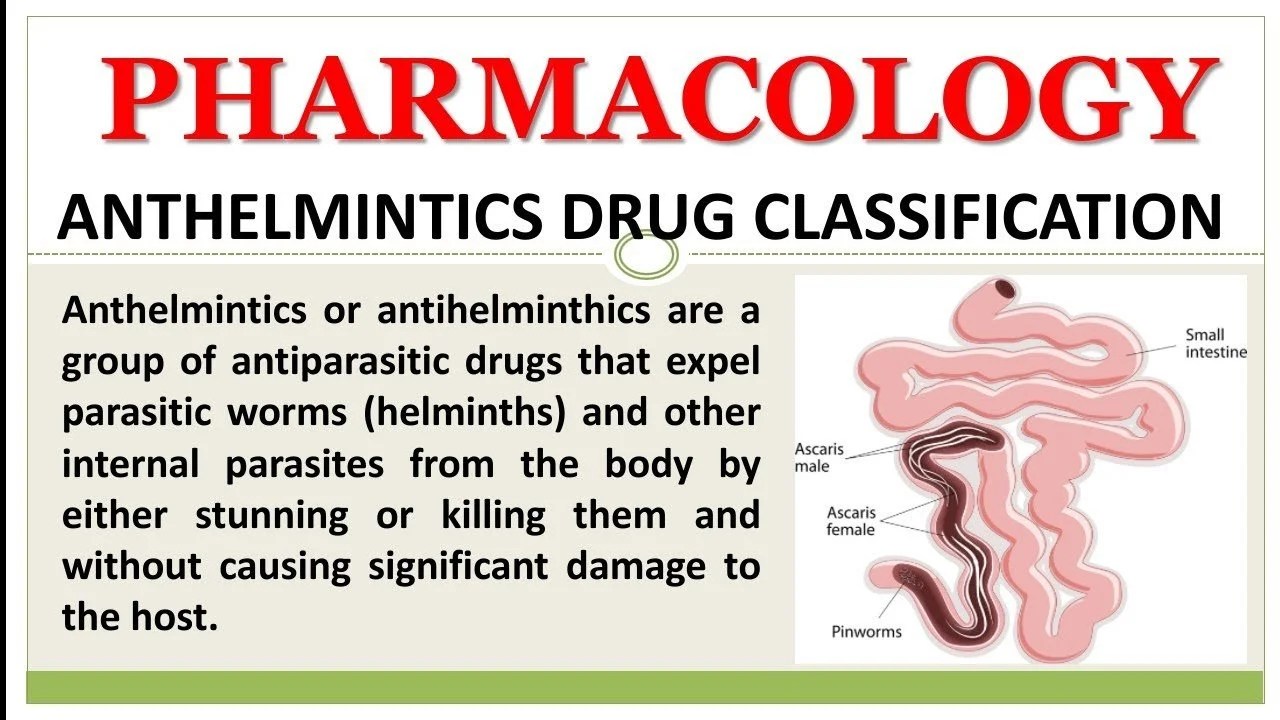 Anthelminthic drugs classification, mechanism of action & Drugs used in the treatment of Cestode