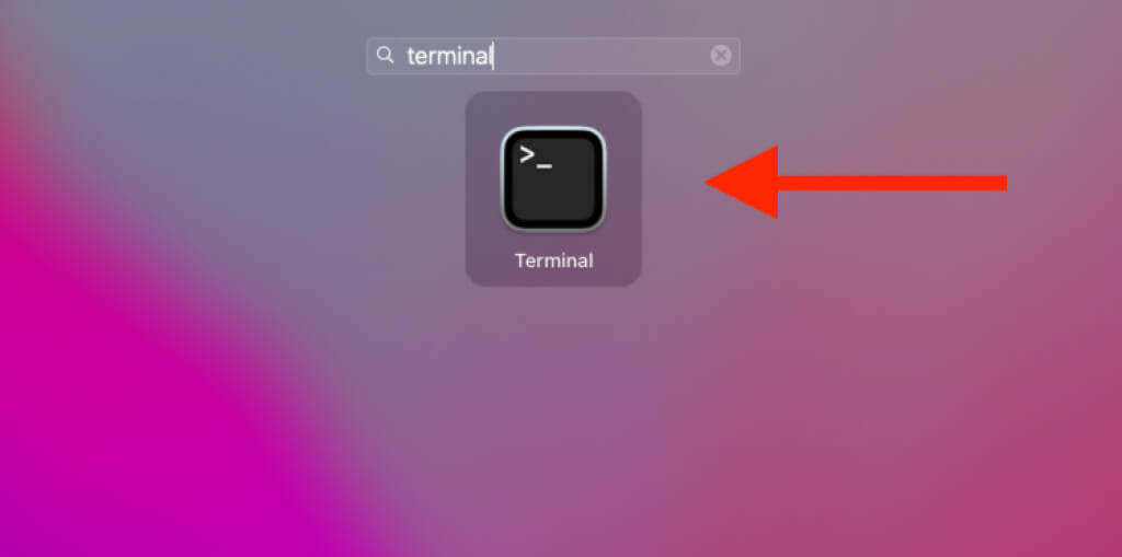 How To Quickly Empty The Trash In Macos Using Terminal