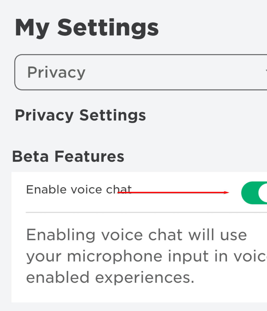 Comment activer le chat vocal sur Roblox | AllInfo