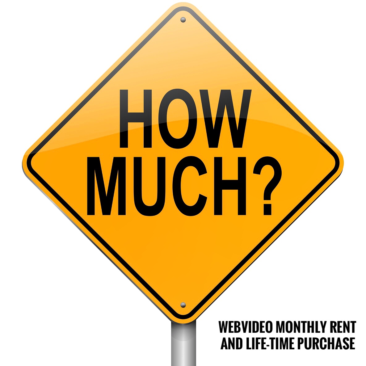 How Much it Costs to Start a Webcam Site Based on Webvideo?
