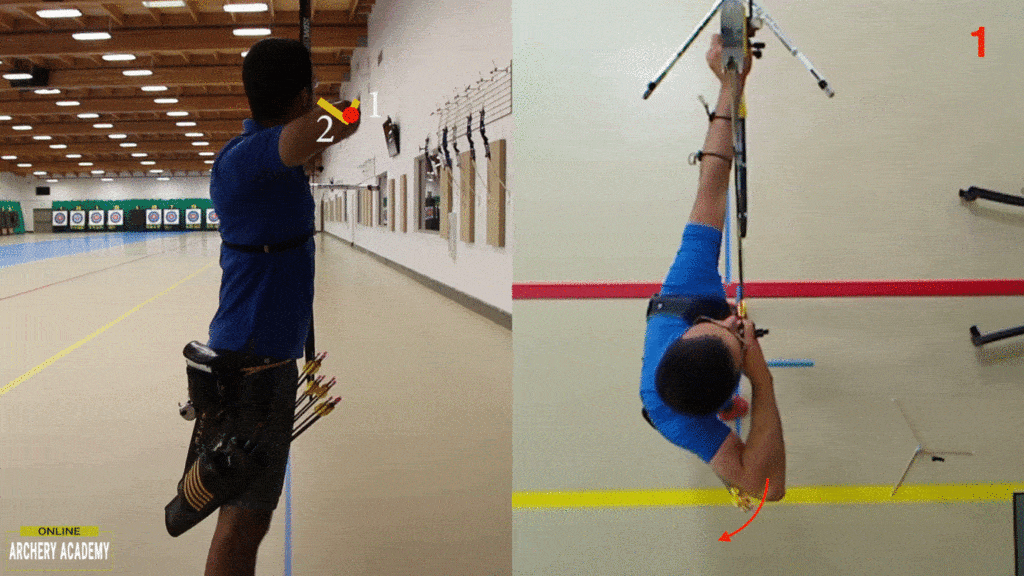 Recurve Technique Drawing Motion Online Archery Academy