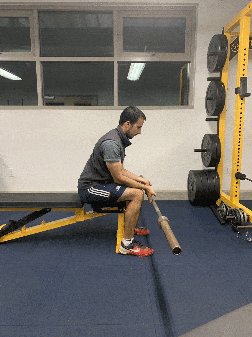 Finger Rolls Archery Strength Exercises Online Archery Academy