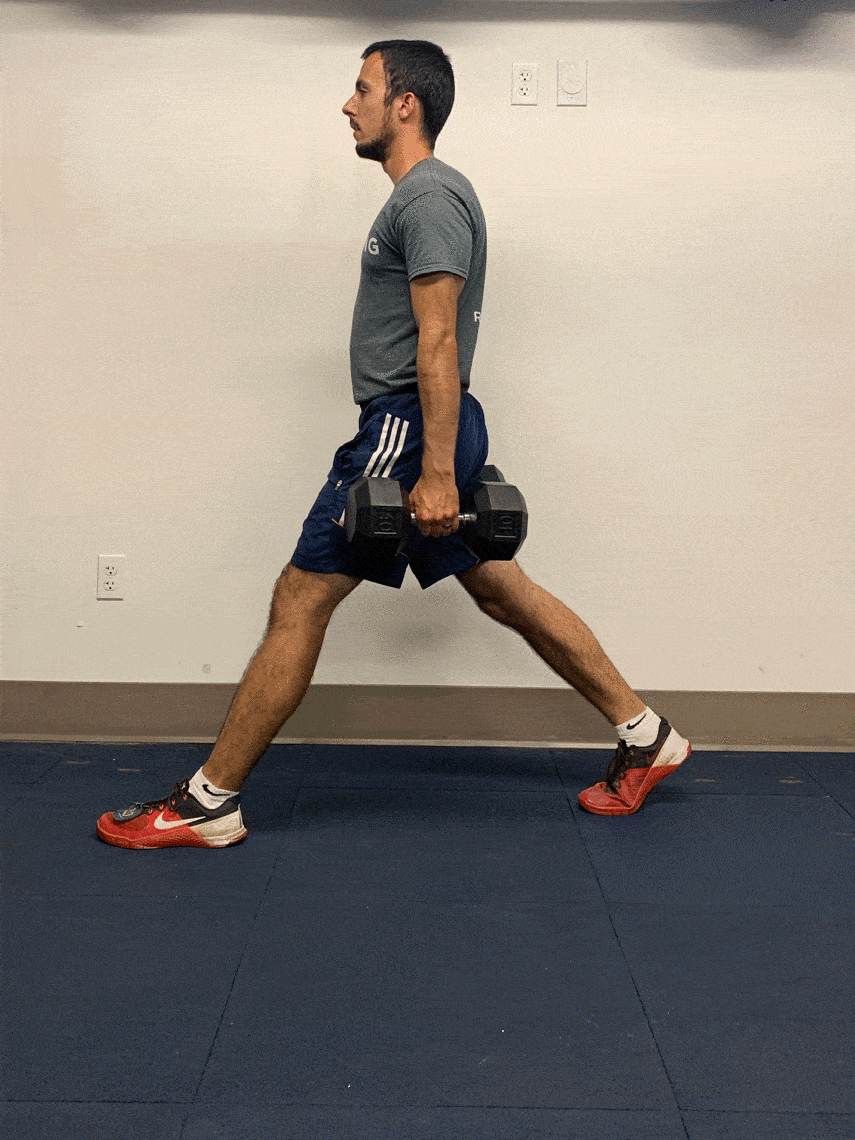 Split Squats Archery Strength Exercises Online Archery Academy Split Squats Archery Strength Exercises Online Archery Academy