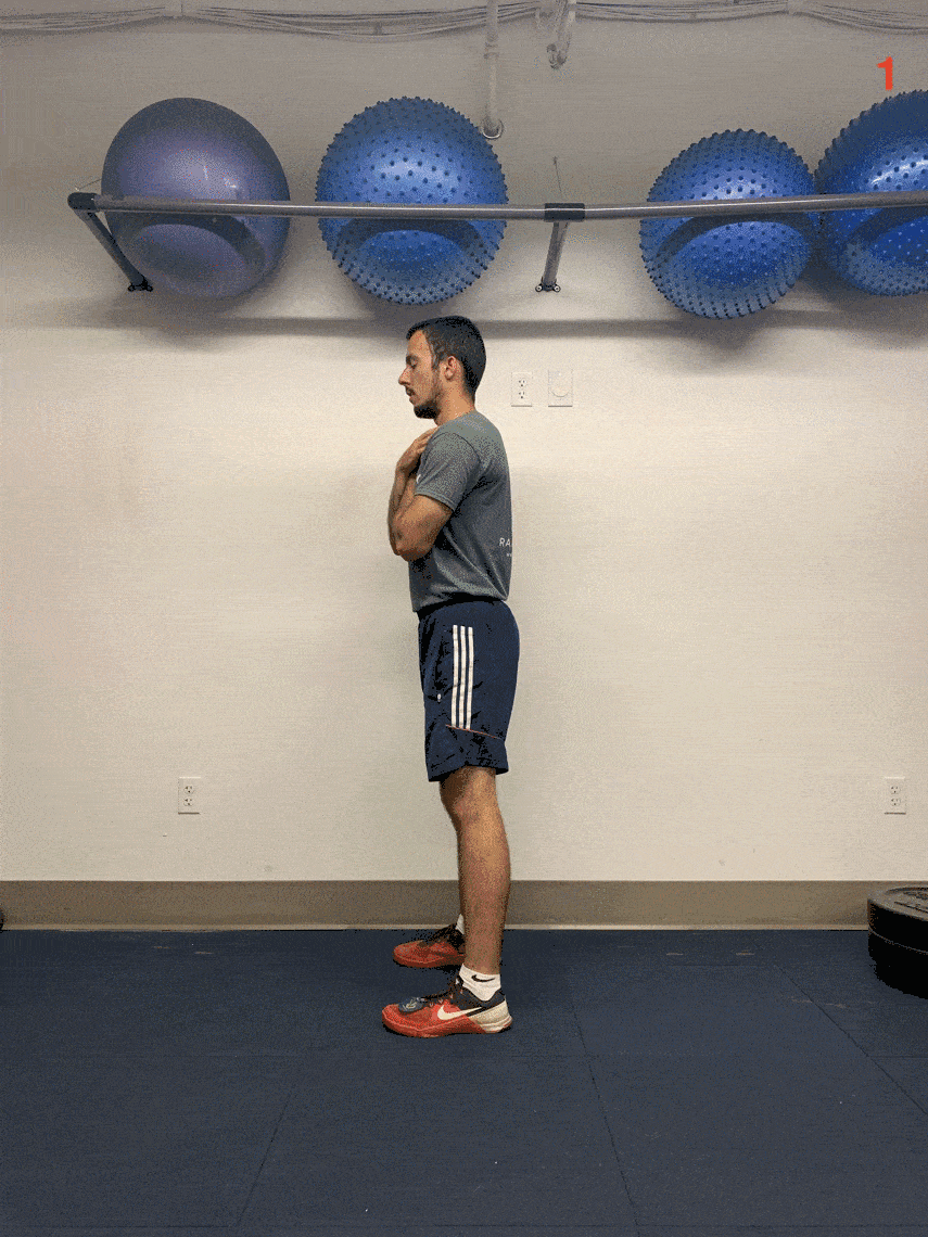 Squats Archery Strength Exercises Online Archery Academy Squats Archery Strength Exercises Online Archery Academy