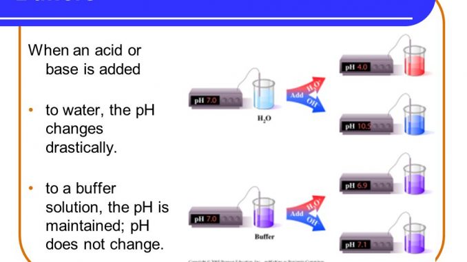 Buffer, buffering capacity, properties of good buffer and role of