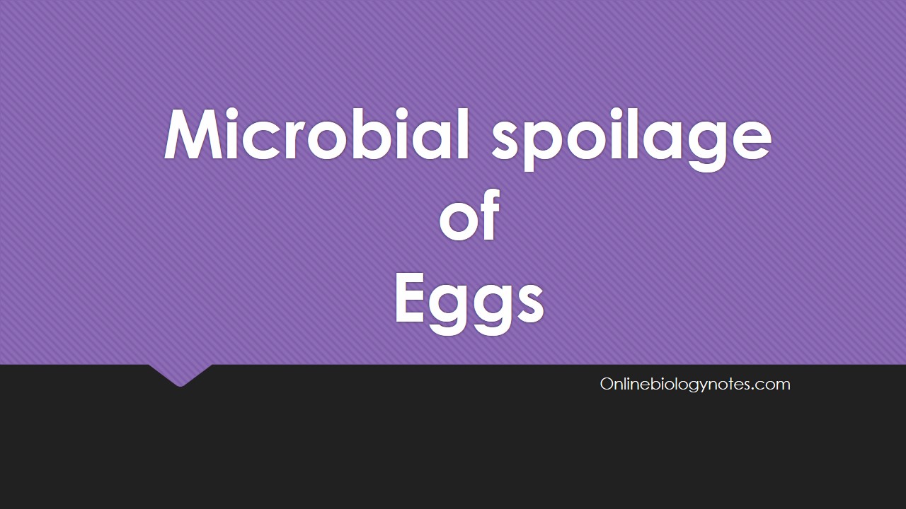 Microbial spoilage of eggs and methods of preservation Online Biology