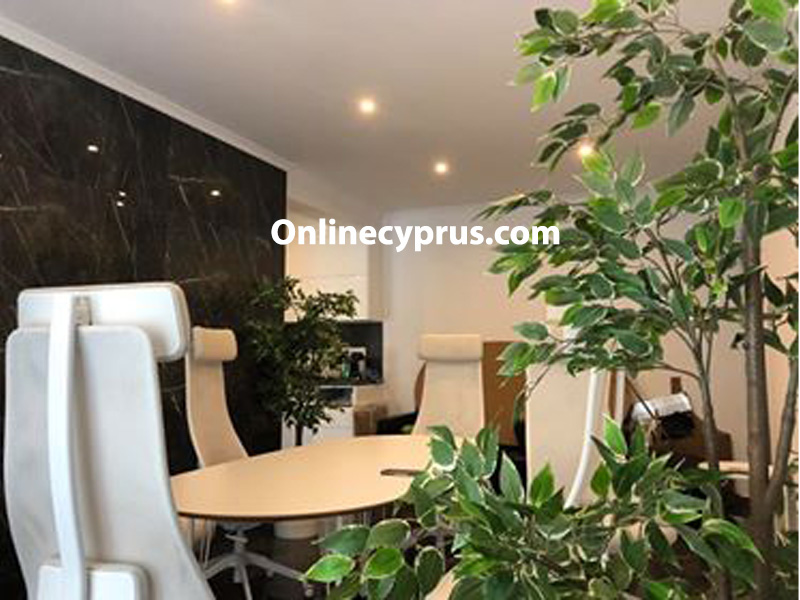 Office long term rental in Kato Paphos 121673 Paphos Cyprus 2