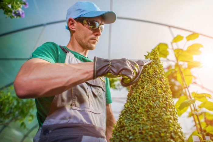 Groundskeeper Salary, How to Job Description & Best Schools